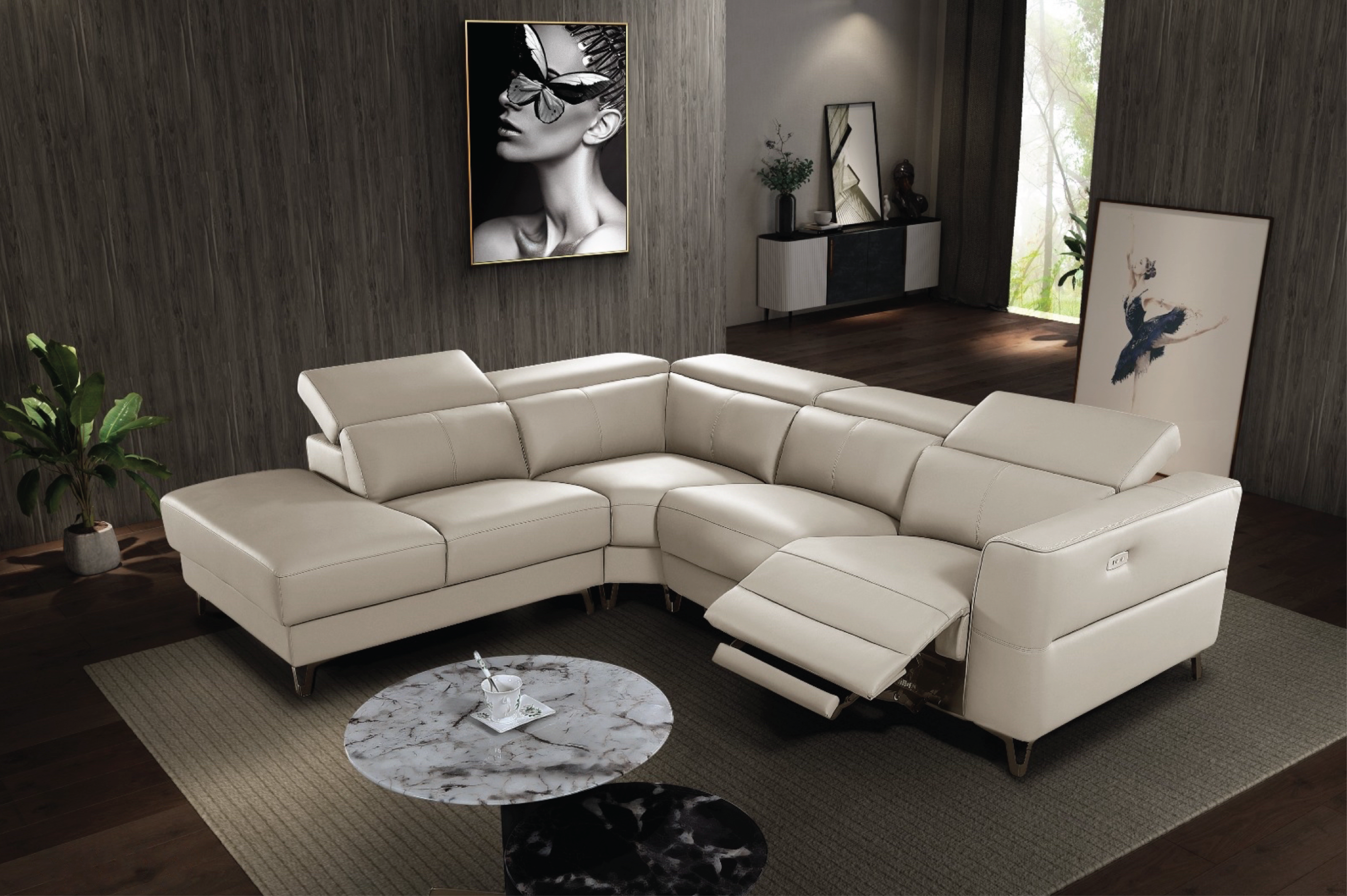 Imported Italian Leather Furniture